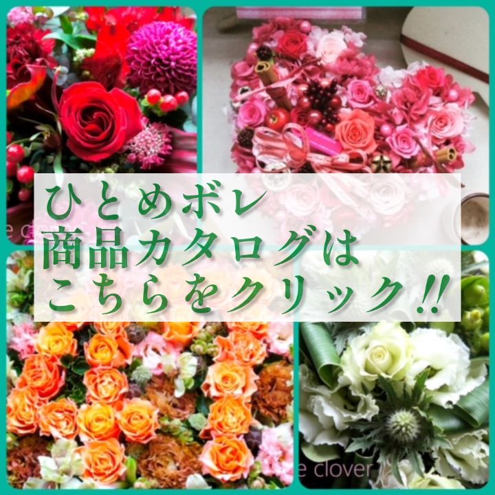 ひとめボレ商品カタログ